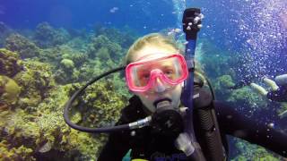 Cozumel Dive Footage - 2017