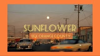 Video thumbnail of "Rex Orange County - Sunflower"