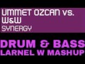 Ummet Ozcan Amp W Amp W Synergy LARNEL W DRUM Amp BASS MASHUP mp3