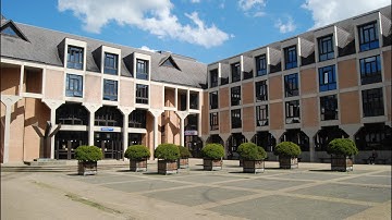 CEFISES  Seminar - Harald A. Wiltsche, "Phenomenology and Wave Function Realism"