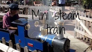 Mini Steam Train