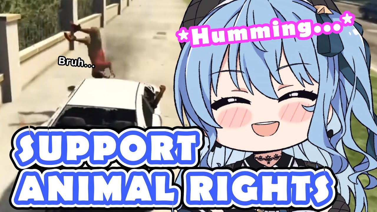Suisei Really Enjoys Running Over People, But...【Hololive | Hoshimachi Suisei】