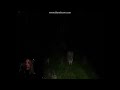 Slender: The Eight Pages | Pt. 2 | Scary trees!