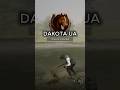 💍Прокачуємо РІВЕНЬ навичок | СКАРБИ | сервер  DAKOTA UA 🤠🔥 #rdr2  #viral  #shorts