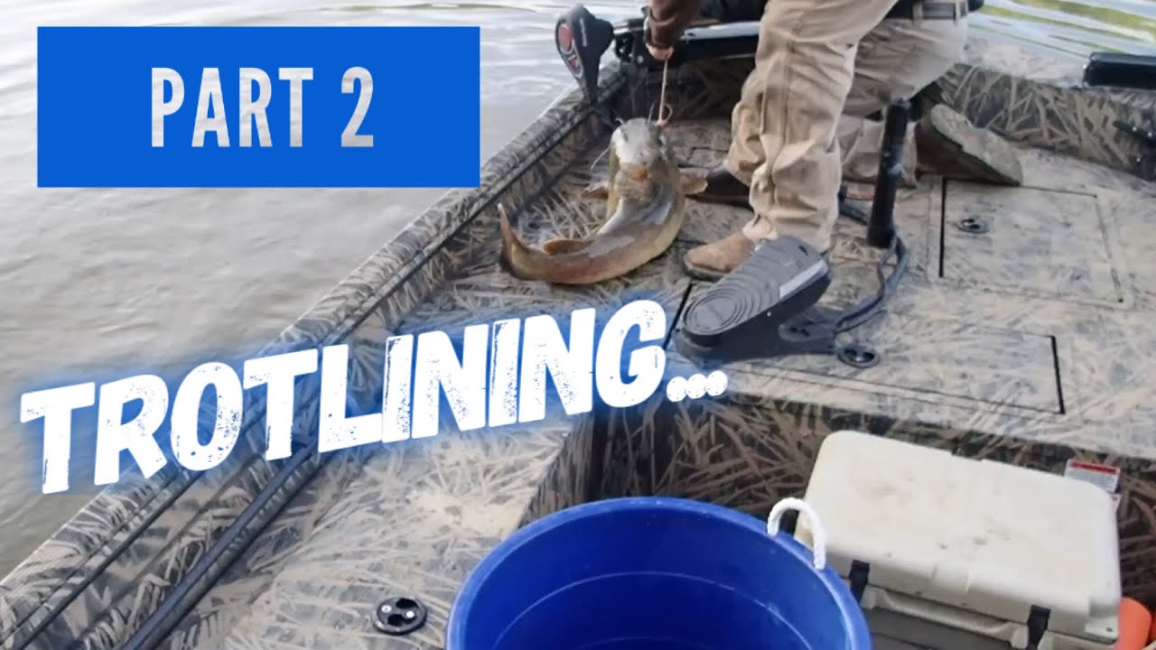 TROTLINE FISHING FOR RIVER CATFISH 😲😲😲”Part Two" YouTube