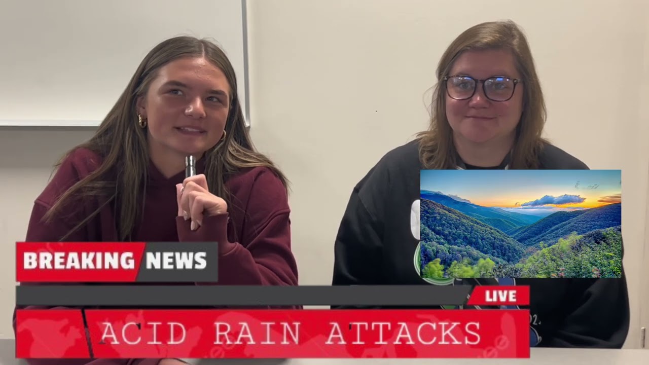 ACID RAIN EFFECTS (SCHOOL PROJECT)