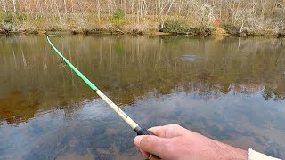 TROUT on spinners in Toccoa River (First Brown Trout)
