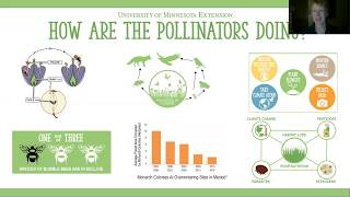 How are pollinators doing: Pollinator Education Toolkit