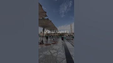 صلوا على النبي 🤍🌿 #قرآن #quran #راحة_نفسية #سورة_الأحزاب