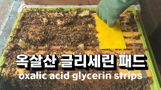 친환경 양봉하기는 어려워...  옥살산 글리세린패드 만들기. 진드기 잡아봅시다