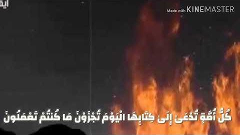 وترى كل أمة جاثية |  روائع تلاوات شيخ الزين