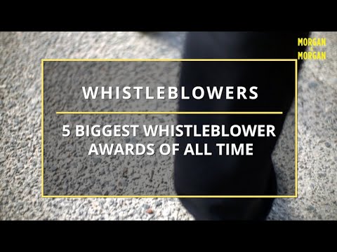 The Amber Hayes Leak: Industry Insiders Blow The Whistle On What REALLY Happened.