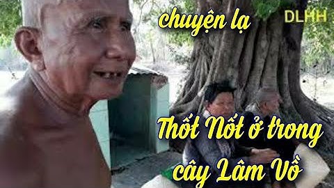 Chuyện lạ có thật, kỳ lạ cây Thốt Nốt trong lòng cây Bồ Đề giữa đồng Tri Tôn  " Du Lịch Hành Hương"