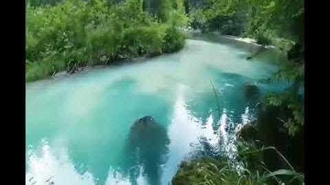 007 Tafsiir sheekh maxamed jamaal bilow سورة الشمس