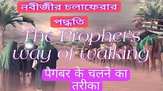 Revealing the Prophet Muhammad's Benevolence |The Compassionate Legacy of Prophet Muhammad