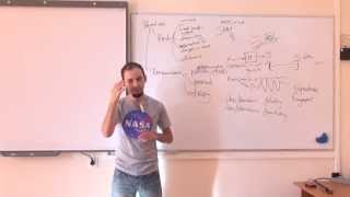 #5 computer security techniques, continued + cryptography primitives