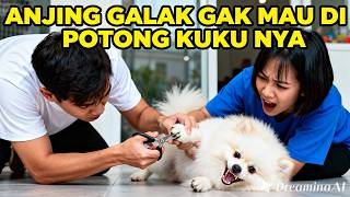 A FIERCE DOG WON'T HAVE HIS NAILS CUT‼️