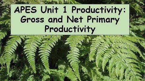 APES Unit 1 Productivity Video