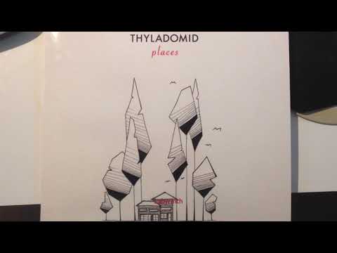 Thyladomid — Thyladomid -  Labyrinth (Traum 221)