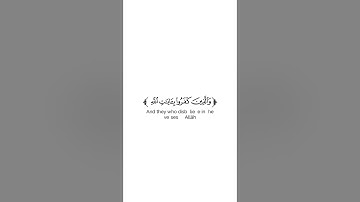 كروما شاشة بيضاء قرآن كريم 🌿تلاوة من سورة الزمر 🌿القارئ محمد الوهيبي 🌿