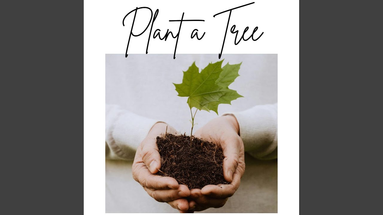 PLANT A TREE