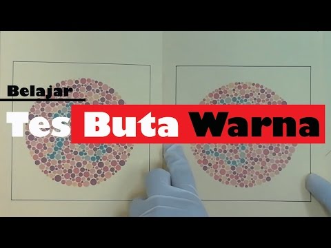 Video: Ujian Warna