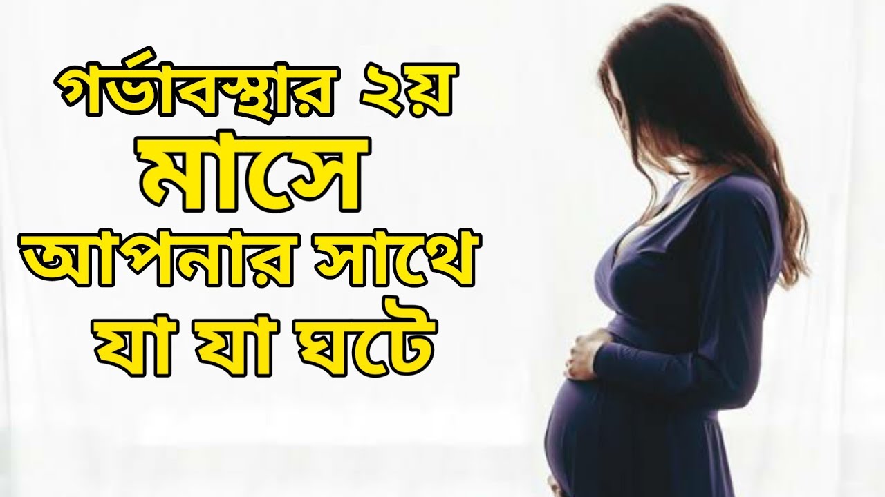 ২য় মাসের গর্ভবতী মায়েদের জন্য ভিডিওটি দেখতে ভুলবেন না | 2nd month pregnant bangla.