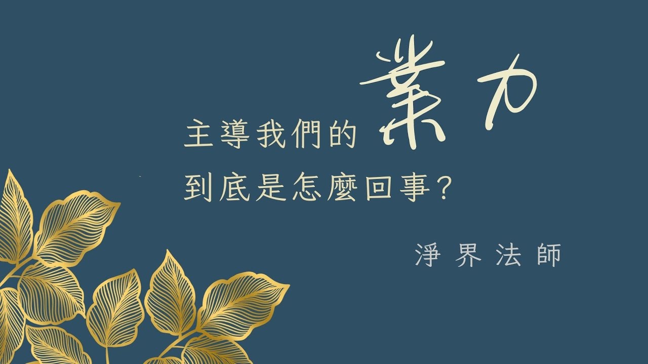 ★ 主導我們的業力到底是怎麼回事？  #淨界法師 #正見基礎 #業力  #業識 #異熟識 #名言種子 #業種子