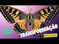 Transformação  - Música Gospel  - Márcio Senna