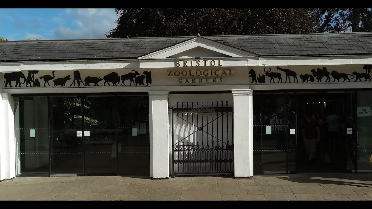 THE WORLD’S OLDEST PROVINCIAL ZOO CLOSING AFTER 186 YEARS BRISTOL ZOO