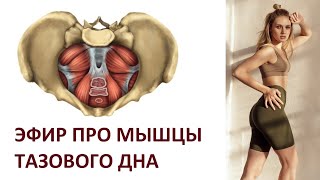 Мышцы тазового дна - запись эфира с Анастасией Лунеговой от 24.07.2021