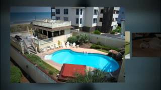 Pet Friendly Hotels Greensboro North Carolina