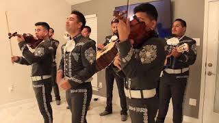 Mariachi Fiesta / Mariachis en Dallas / El Mejor Mariachi de Texas / Contrataciones:☎️📞469-230-8360