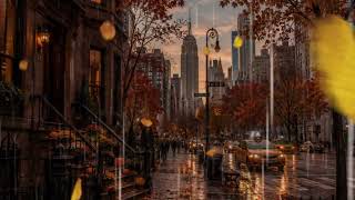 🍁Autumn in New York🍂 Rainy Day Ambience | Cozy Fall Rain Sounds in NYC | Coffee Shop Atmosphere screenshot 1