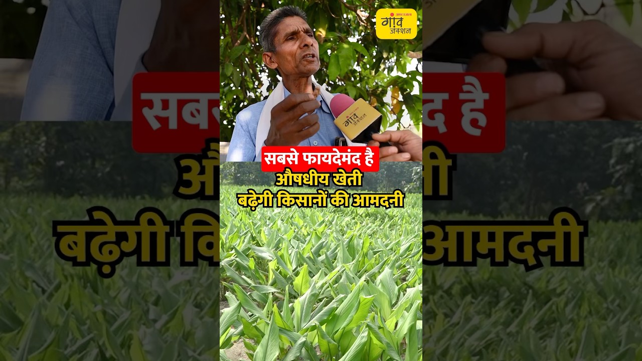औषधीय खेती से मालामाल हो जाएंगे किसान | shorts
