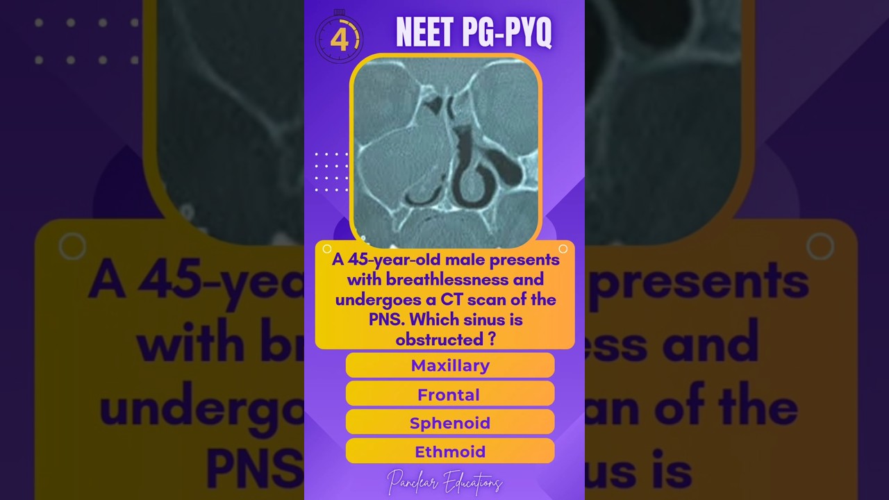 NEET PG PYQs - ENT|High Yield MCQs |Image Based |INICET | MRB | 