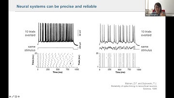 KCN Event Seminar: April 19th, 2022 - Dr. Julijana Gjorgjieva
