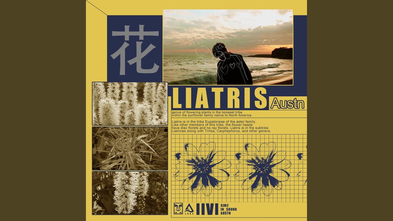 Watch Liatris (prod. SIM2) on YouTube Watch Liatris (prod. SIM2) on YouTube