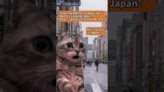 It is said that over 400 expressions for rain☔️😯 #learnjapanese #nihongo #jlpt