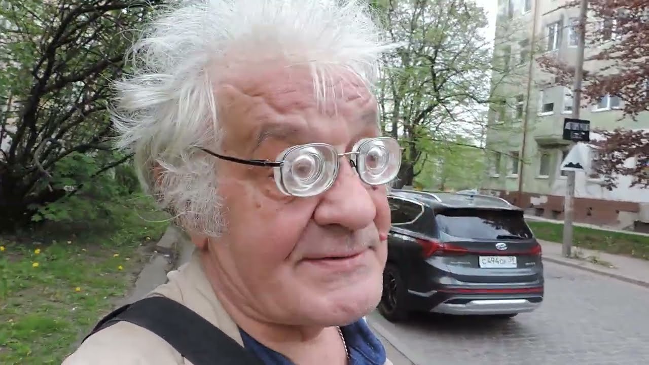 КАЛИНИНГРАД: Краснолистный бук Fagus sylvatica 'Purpurea' на Киевской – 5 мая 2022, ЧТ