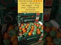 ###Top mini orange azadpur mandi delhi 04/10/25####