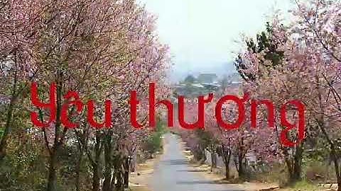 Lời chúc buổi sáng( đường hoa )