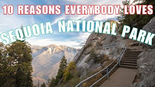 STUNNING Sequoia National Park - The Top 10 Things You MUST DO!