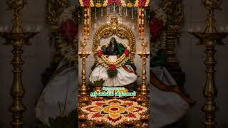 #thoranamalai #தோரணமலை #agasthiyar #theriyar #powrnami #krivalam #tenkasi #pothigai hill #spritual