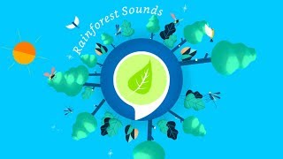 Listen to relaxing sounds with Alexa Skills screenshot 3