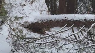 Winter storm cleanup continues in southern Ohio