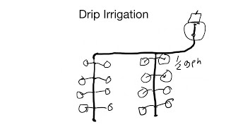 How to install a drip irrigation system, from design to implementation