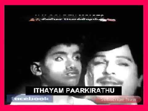 Yaanaiyin Balam Song Lyrics on YouTube