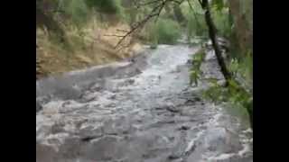 STEPS JULY 4 2012 TURKEY CREEK is CRANKING!!.wmv
