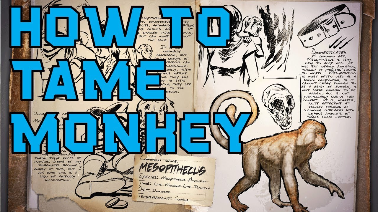 How to tame Mesopithecus I Ark Mobile - YouTube